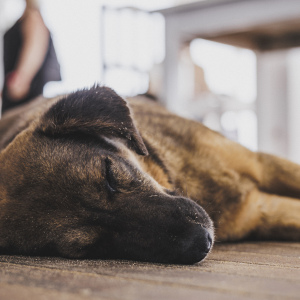 GKA26-CAPE-VERDE-Day-04-_G3A4970-Lukas_K_Stiller-1