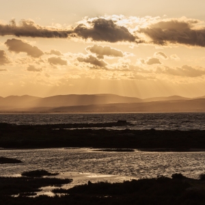 GKA25_LOT_Day1_AndyTroy-04496