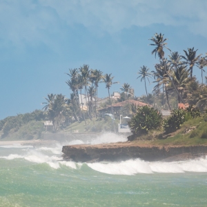 20221120121552-20221120121552-D57A2312-romantsovaphoto-romantsovaphoto