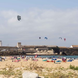 I1010239-_Samuel_Cardenas